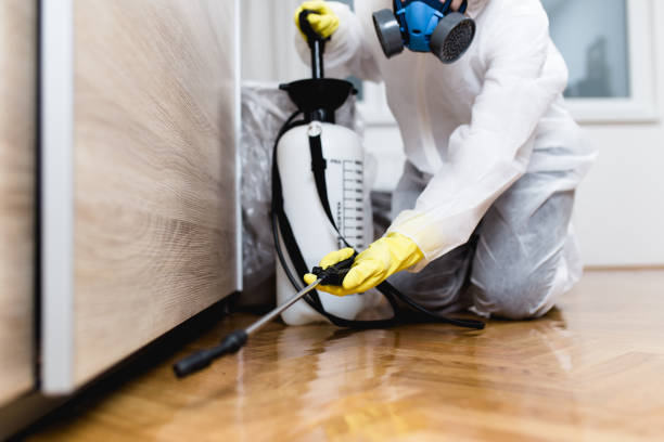 Pest Control for Restaurants in West Mountain, UT