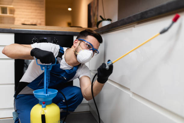 Best Flea Control Services  in West Mountain, UT