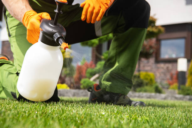 Best Cockroach Control Services  in West Mountain, UT
