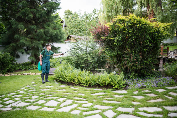 Best Emergency Pest Control  in West Mountain, UT