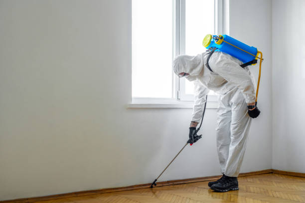 Best Bed Bug Extermination  in West Mountain, UT