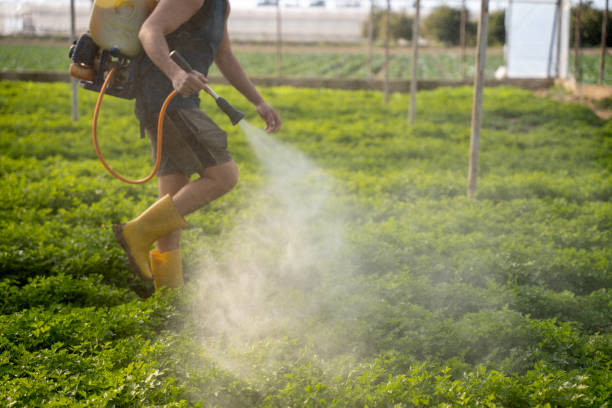 Best Affordable Pest Control Services  in West Mountain, UT