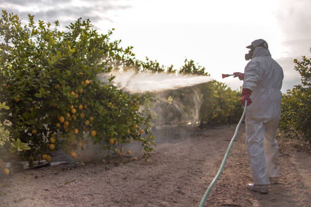 Professional Pest Control in West Mountain, UT