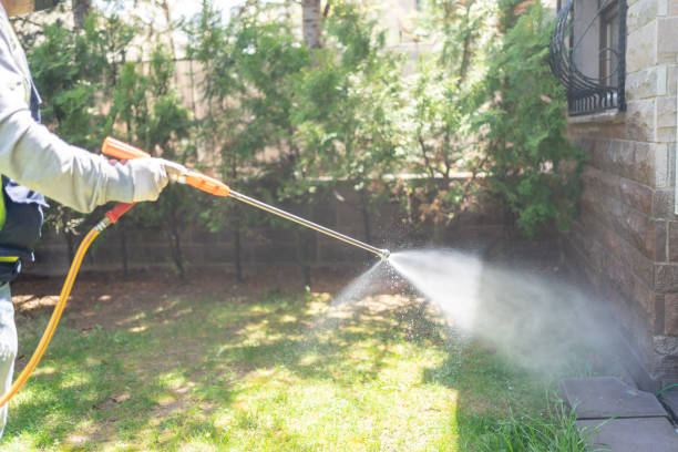 Best Flea Control Services  in West Mountain, UT
