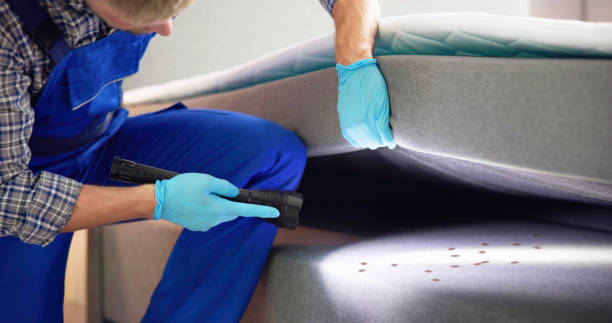 Best Mosquito Control Services  in West Mountain, UT