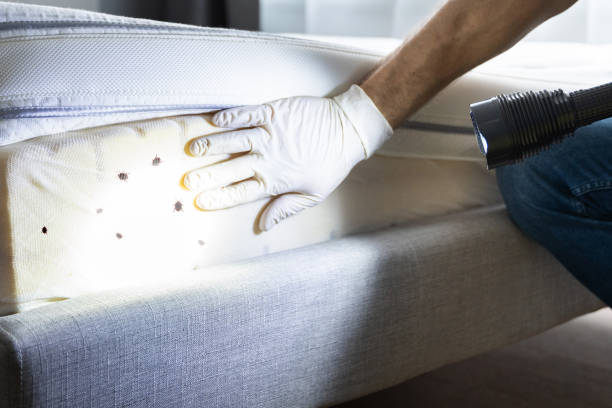 Best Pest Inspection Near Me  in West Mountain, UT