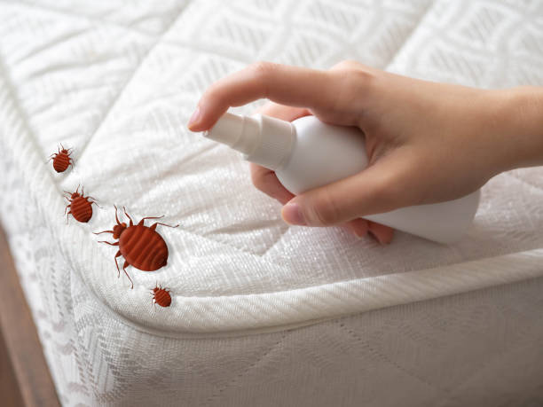 Best Pest Removal Services  in West Mountain, UT
