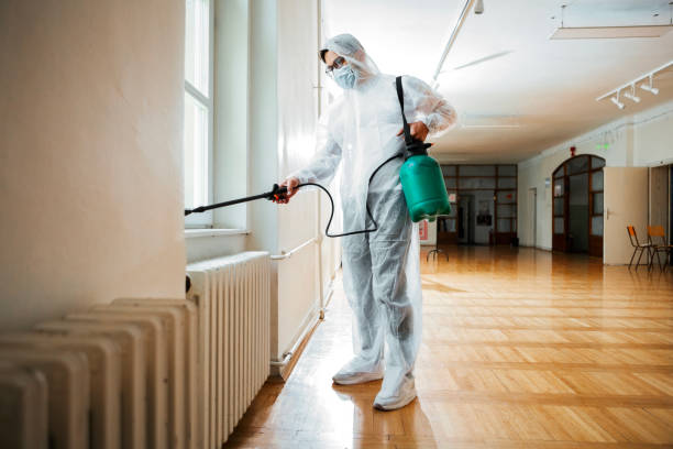 Best Best Pest Control Companies  in West Mountain, UT