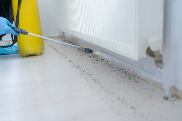 Best Commercial Pest Control Services  in West Mountain, UT