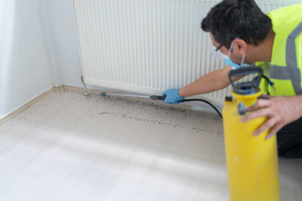 Best Affordable Pest Control Services  in West Mountain, UT