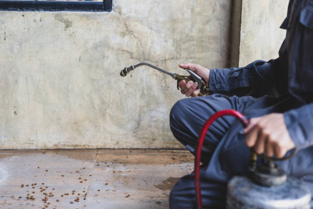 Pest Control for Restaurants in West Mountain, UT